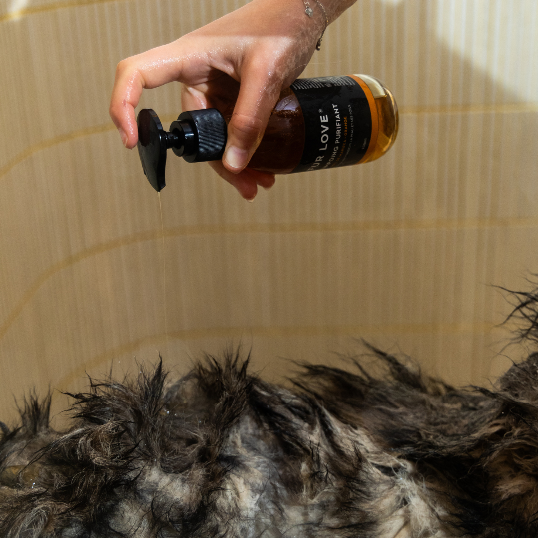 Natural Dog Shampoo