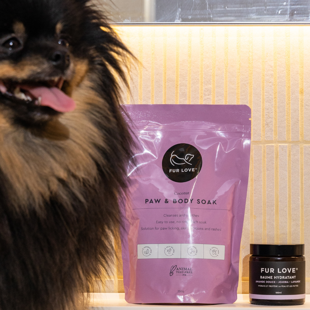 Paw Care Kit