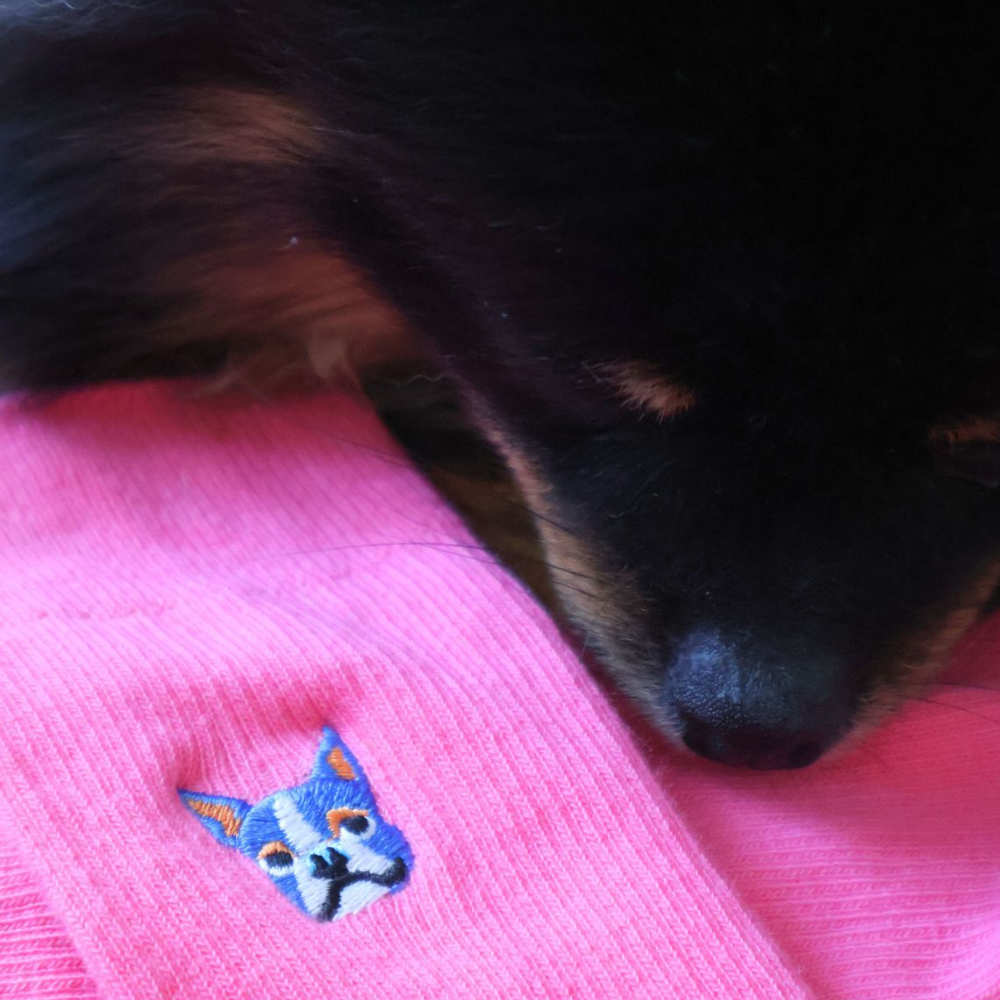 Happy Socks Ribb Embroidery Dog Sock