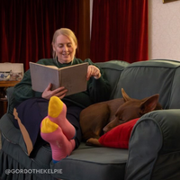 Happy Socks Ribb Embroidery Dog Sock