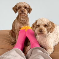 Happy Socks Ribb Embroidery Dog Sock