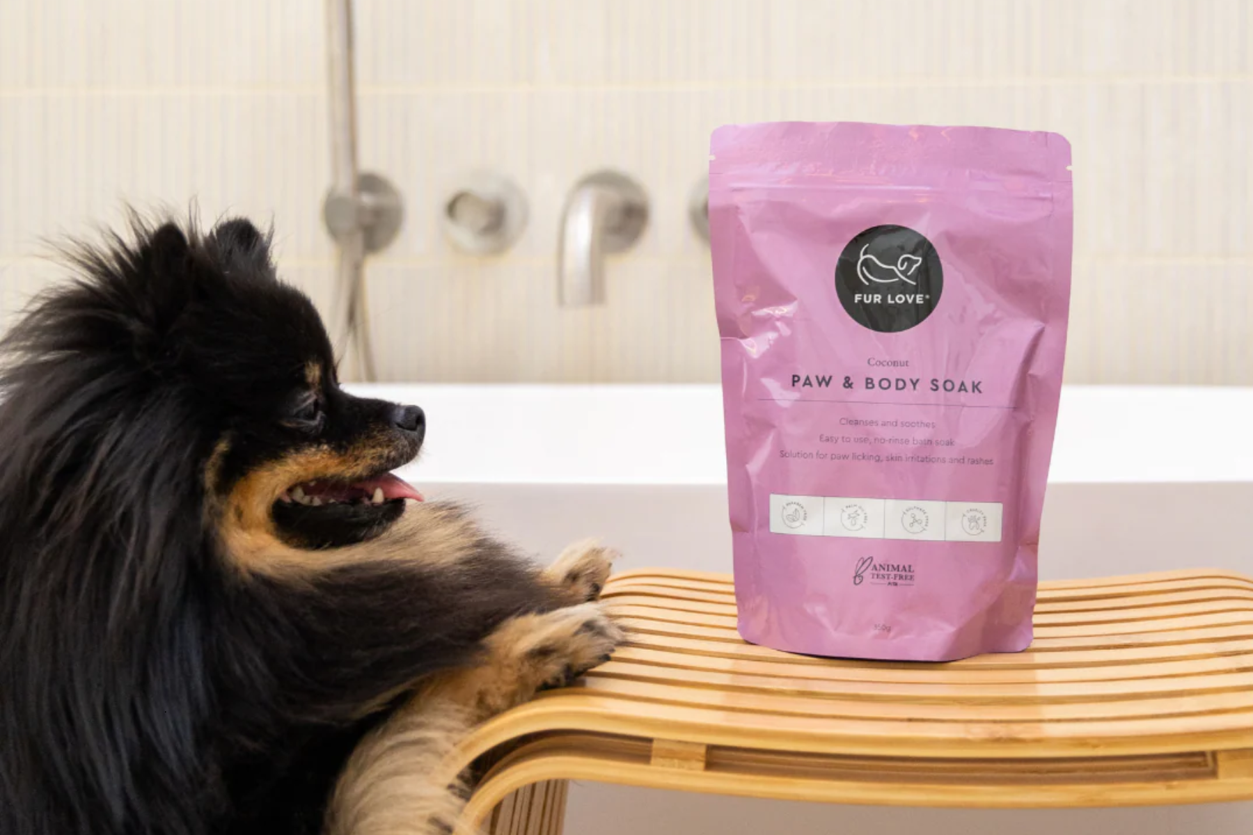 Our Pupfluencer Community: Sharing the Love