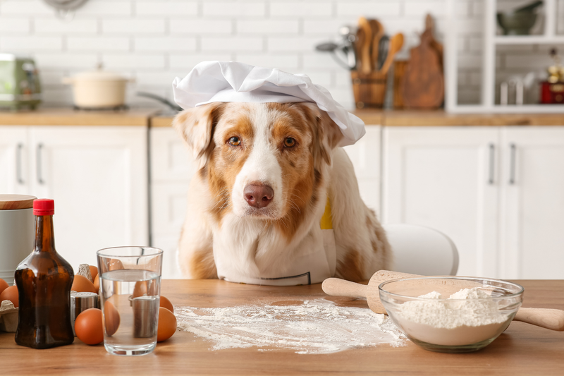 Skin-Friendly Valentine’s Day Cookies for Dogs (and Humans)
