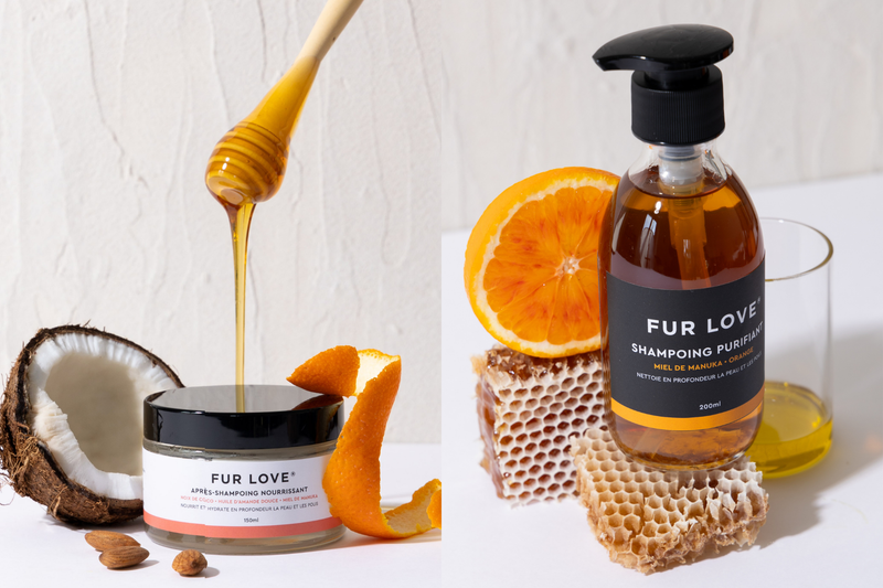 Why We Put Manuka Honey in Our Dog Conditioning Mask