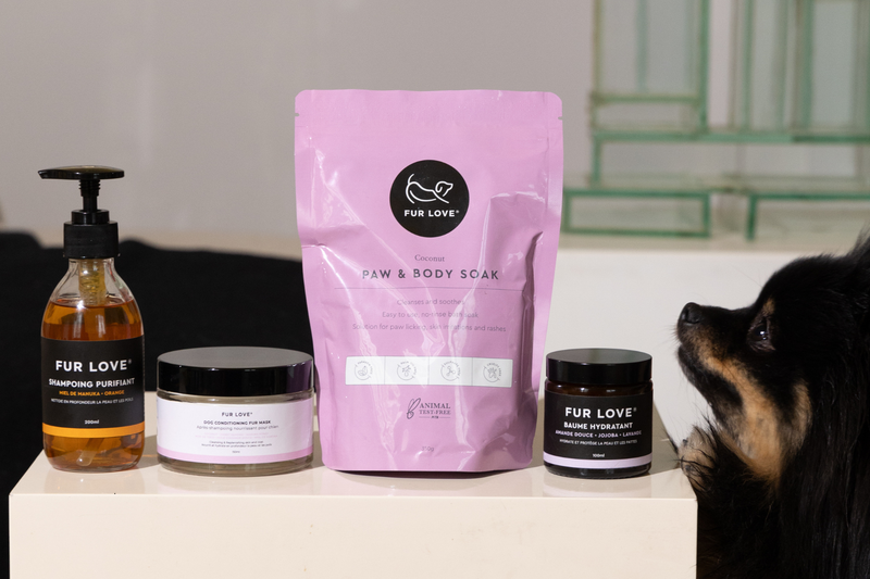 The Skin Routine Kit: Where Healthy Dog Skin Begins