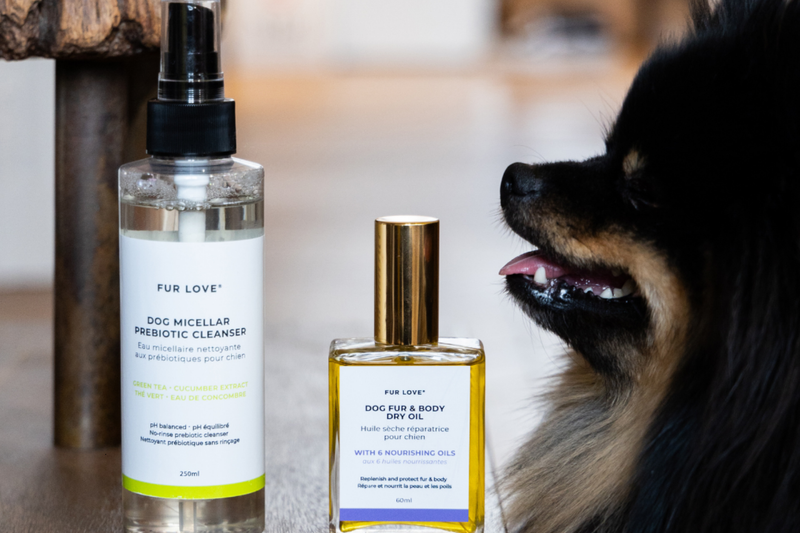 Micellar Cleansing vs Bathing: What’s Best for Your Dog?
