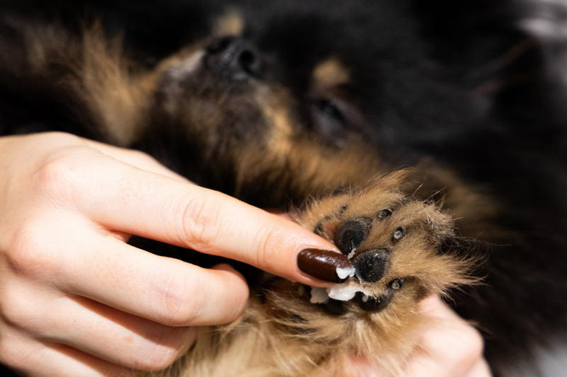 Fur Love Moisture Balm