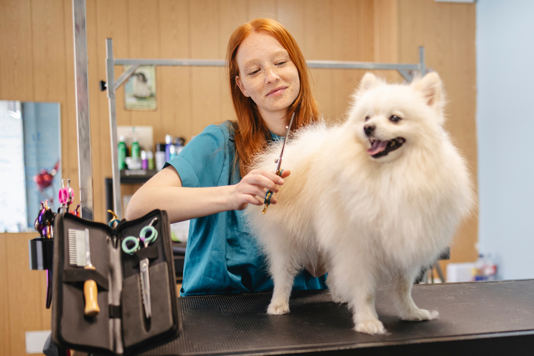 The Dog Parent's Guide to Choosing the Right Groomer