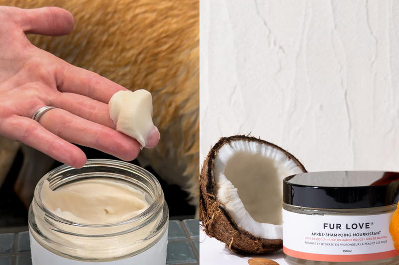 Why Coconut Oil Works Differently in the Fur Love Conditioning Mask