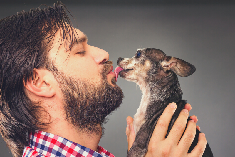 Are dogs cleaner than humans