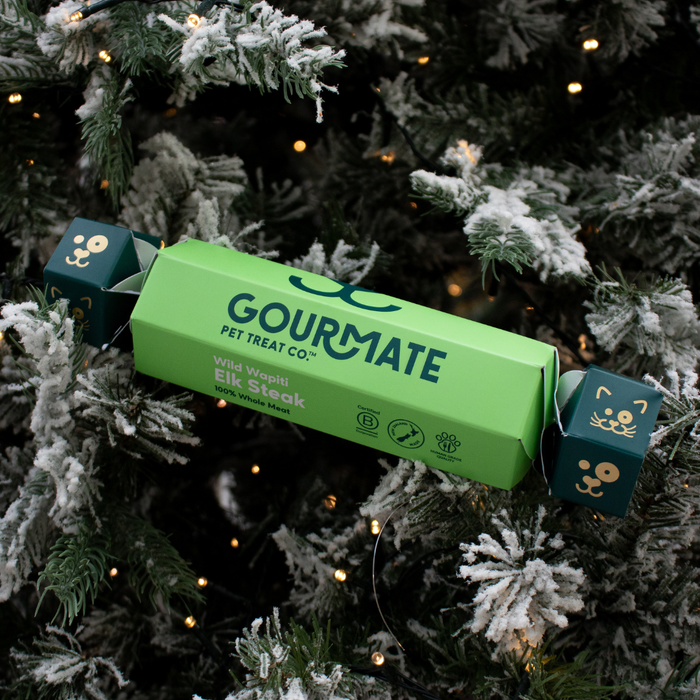 Gourmate dog treat Christmas cracker