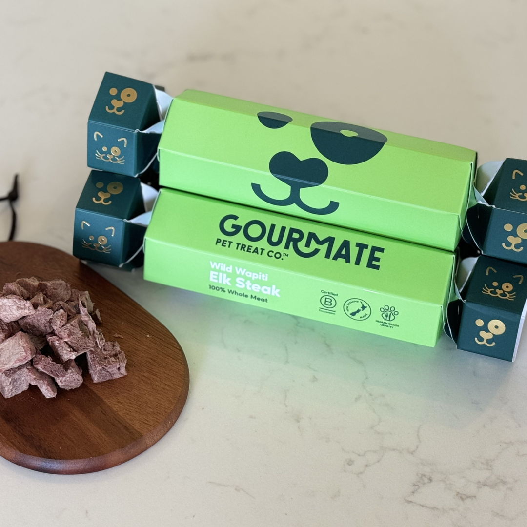 Gourmate dog treat Christmas cracker