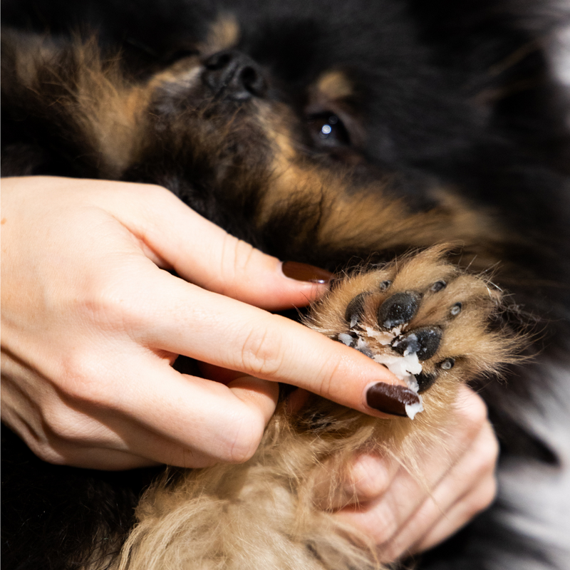 Fur Love lavender moisture balm