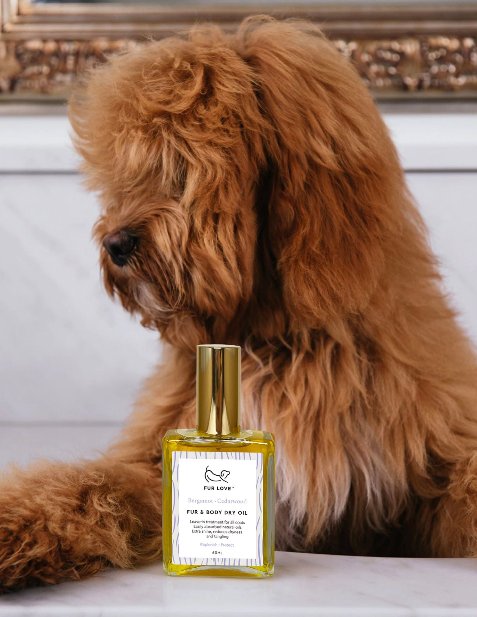 natural fur oil for dogs