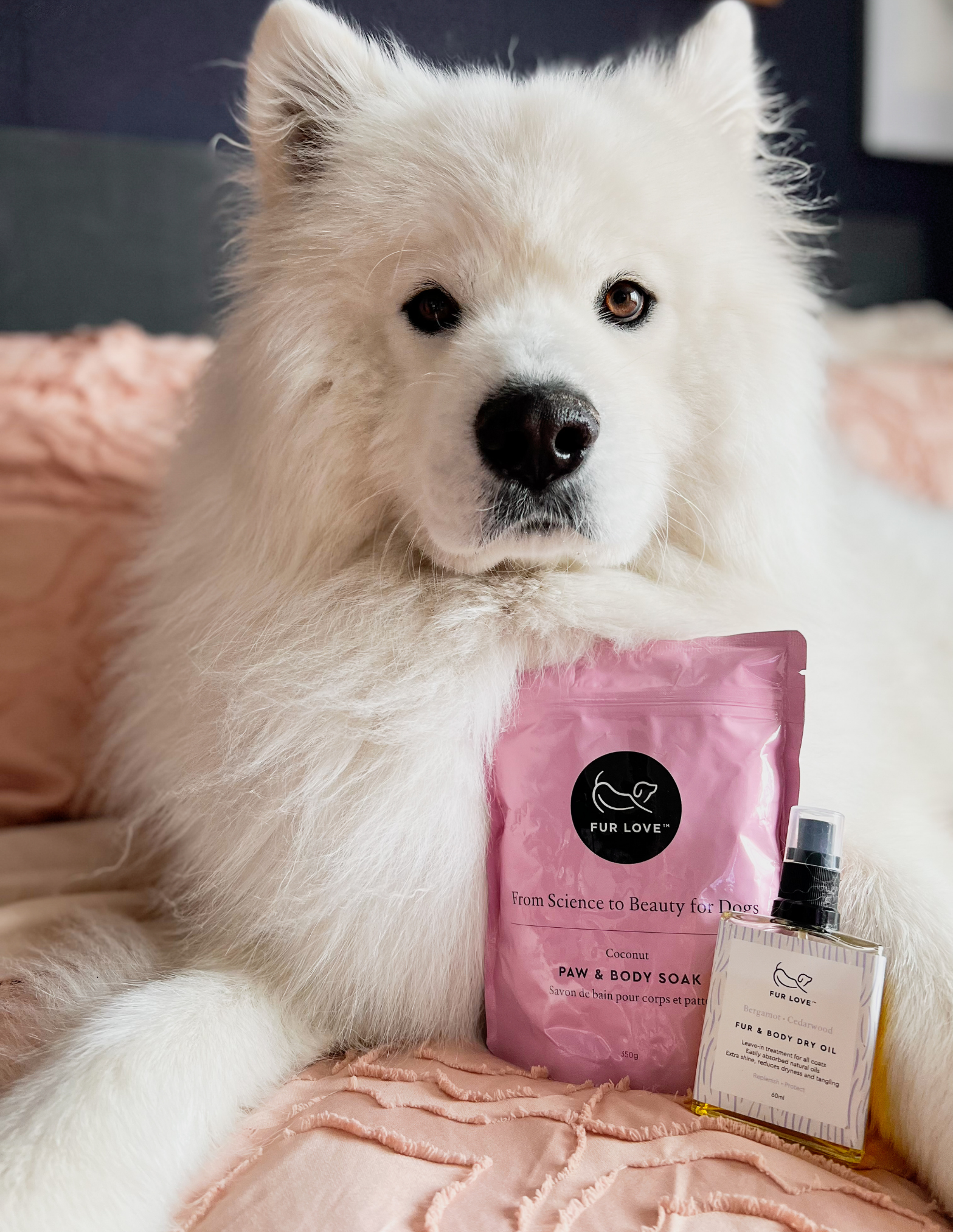 products for smelly dogs